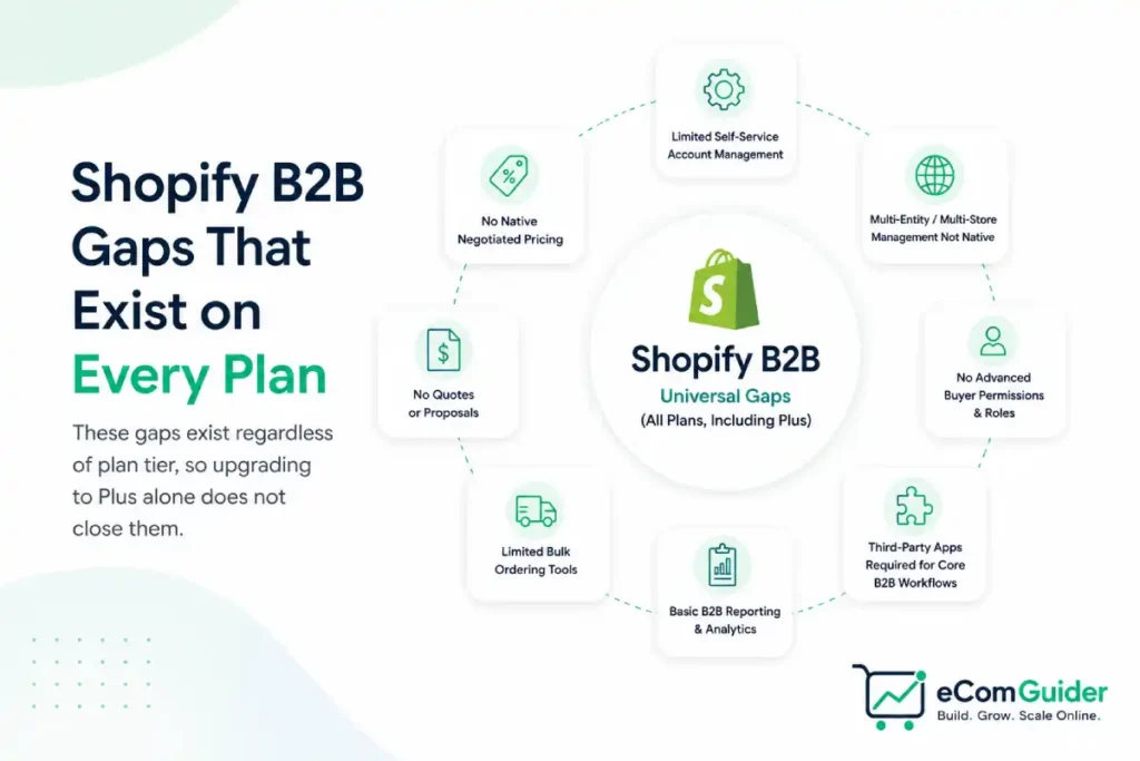 Shopify B2B limitations