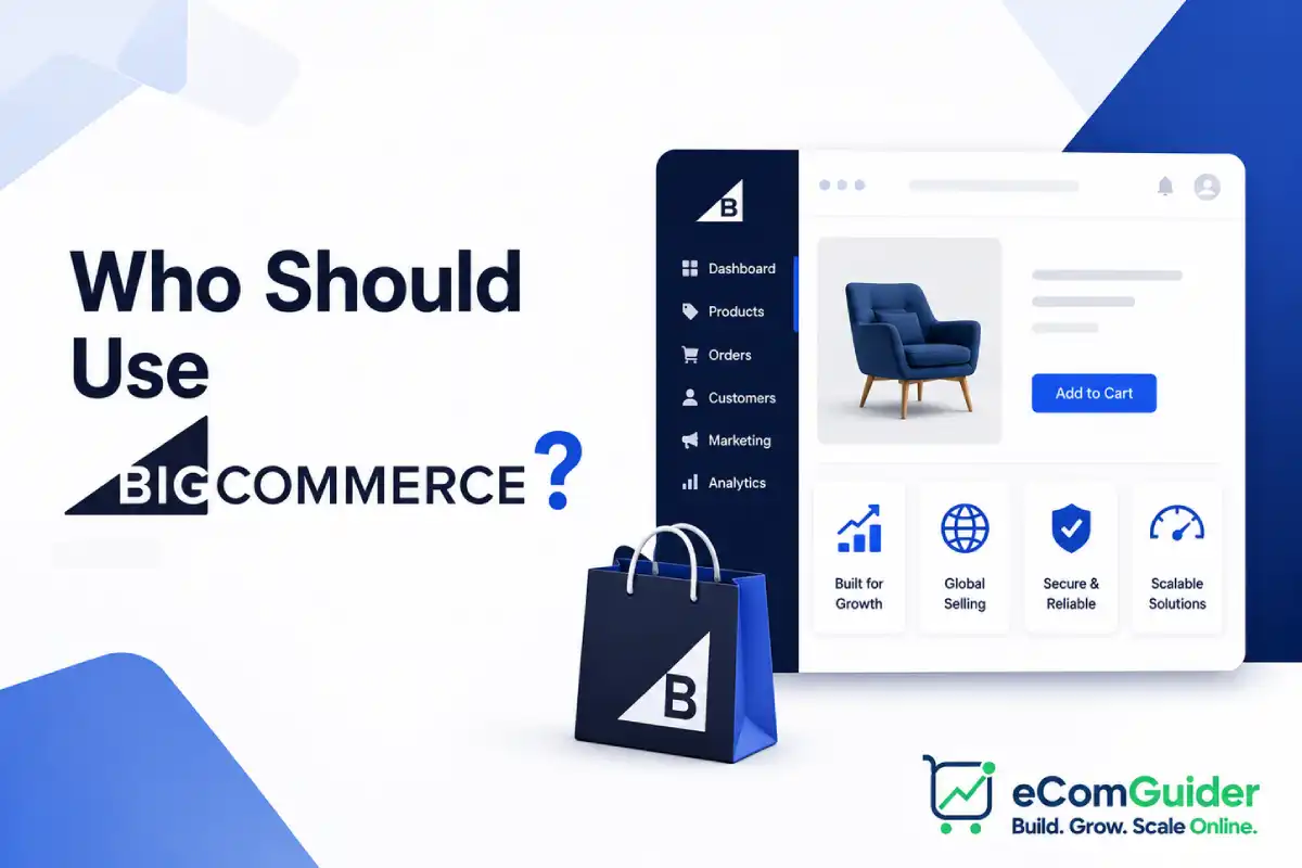 Who should use BigCommerce thumbnail with BigCommerce dashboard and eCommerce store interface